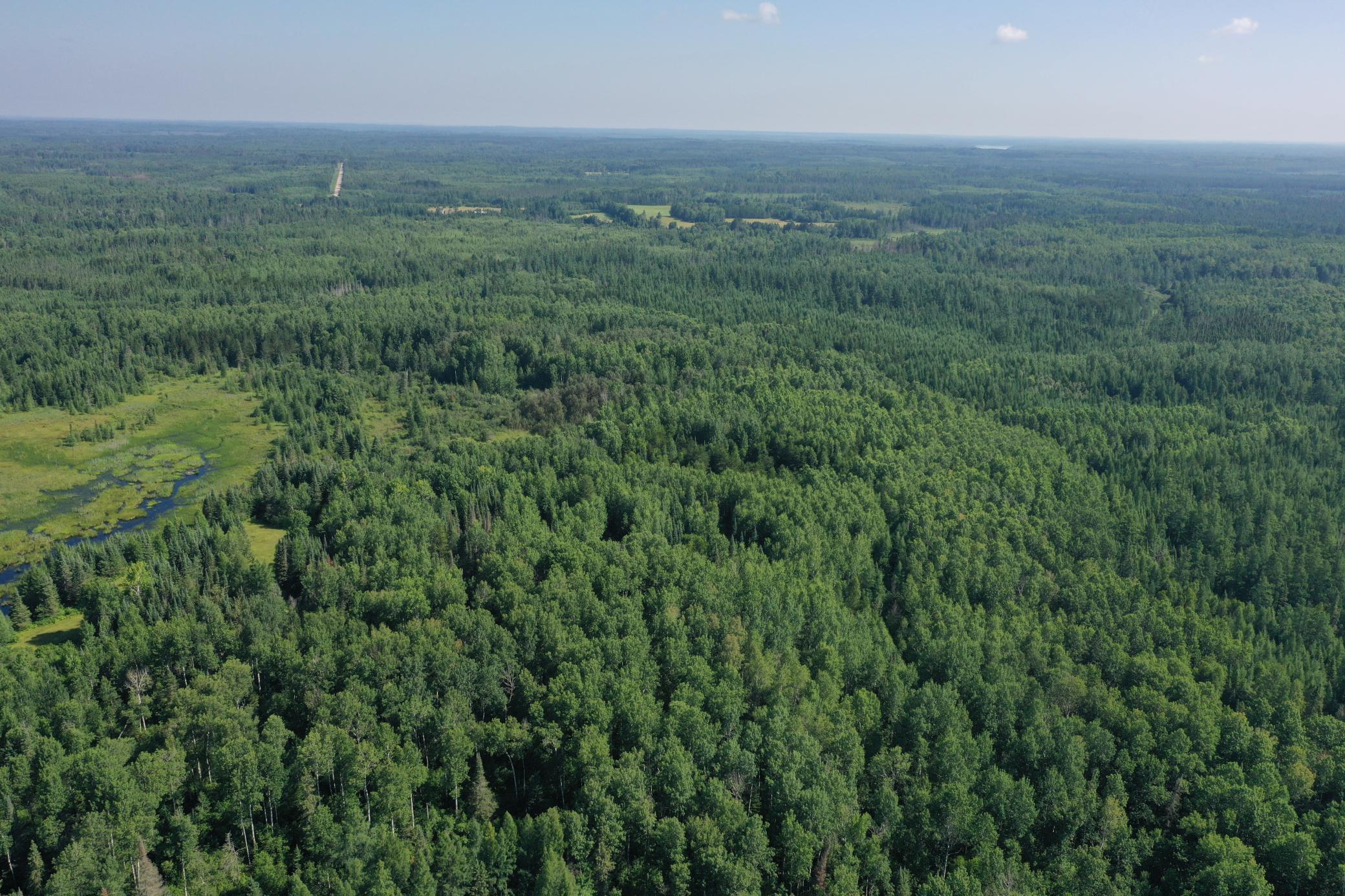 8124 Virginia Ely Road Babbitt, MN 55706 - Photo 6 of 104