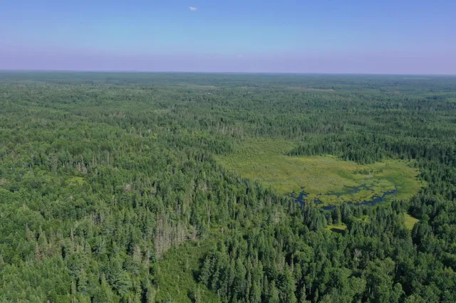 $750,000 | 8124 Virginia Ely Road, Babbitt, MN 55706