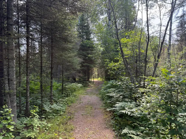 $750,000 | 8124 Virginia Ely Road, Babbitt, MN 55706