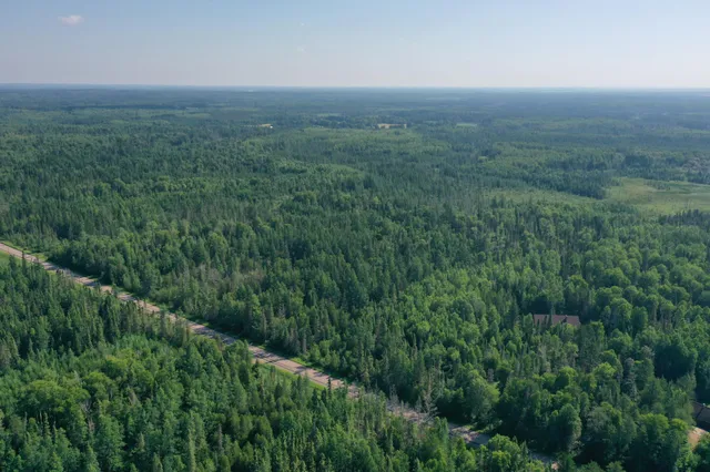 $750,000 | 8124 Virginia Ely Road, Babbitt, MN 55706