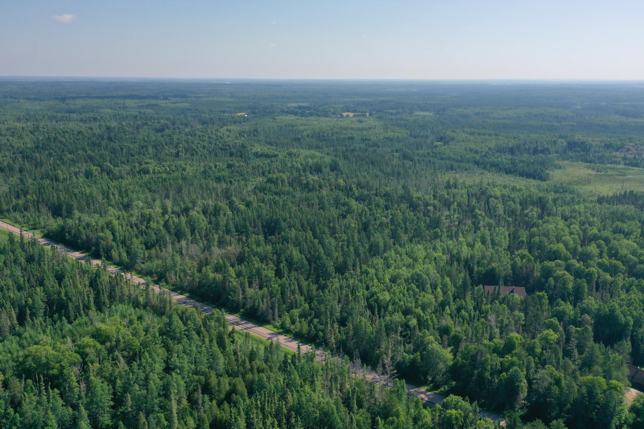 8124 Virginia Ely Road Babbitt, MN 55706 - Photo 8 of 104