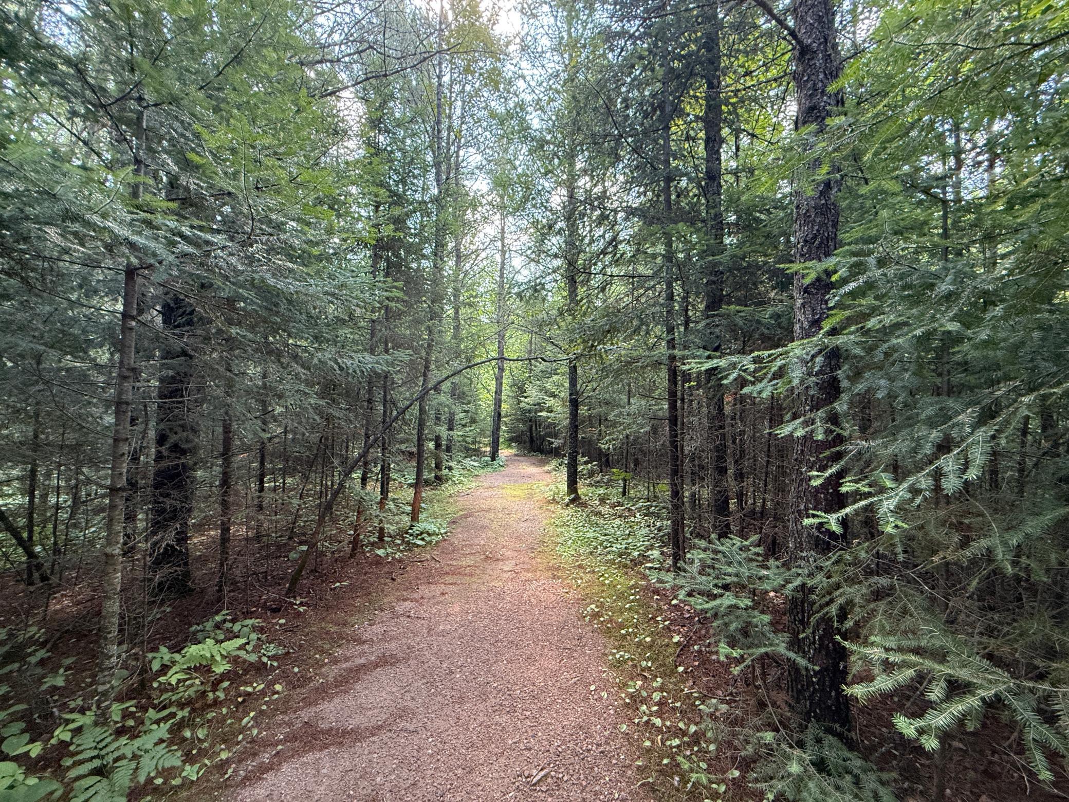 8124 Virginia Ely Road Babbitt, MN 55706 - Photo 81 of 104