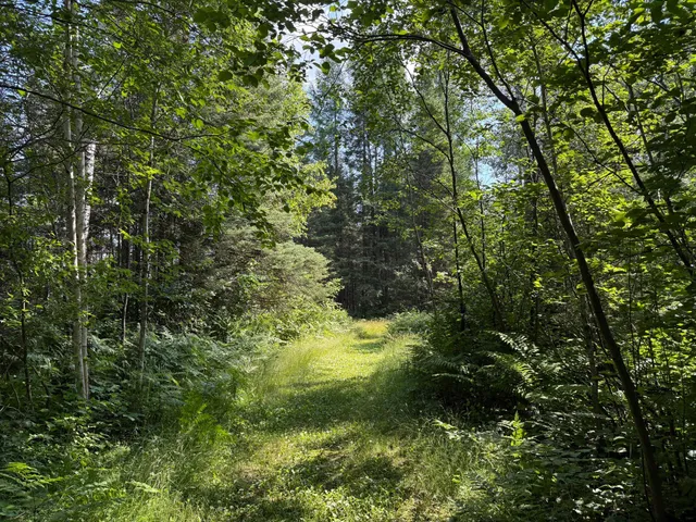 $750,000 | 8124 Virginia Ely Road, Babbitt, MN 55706