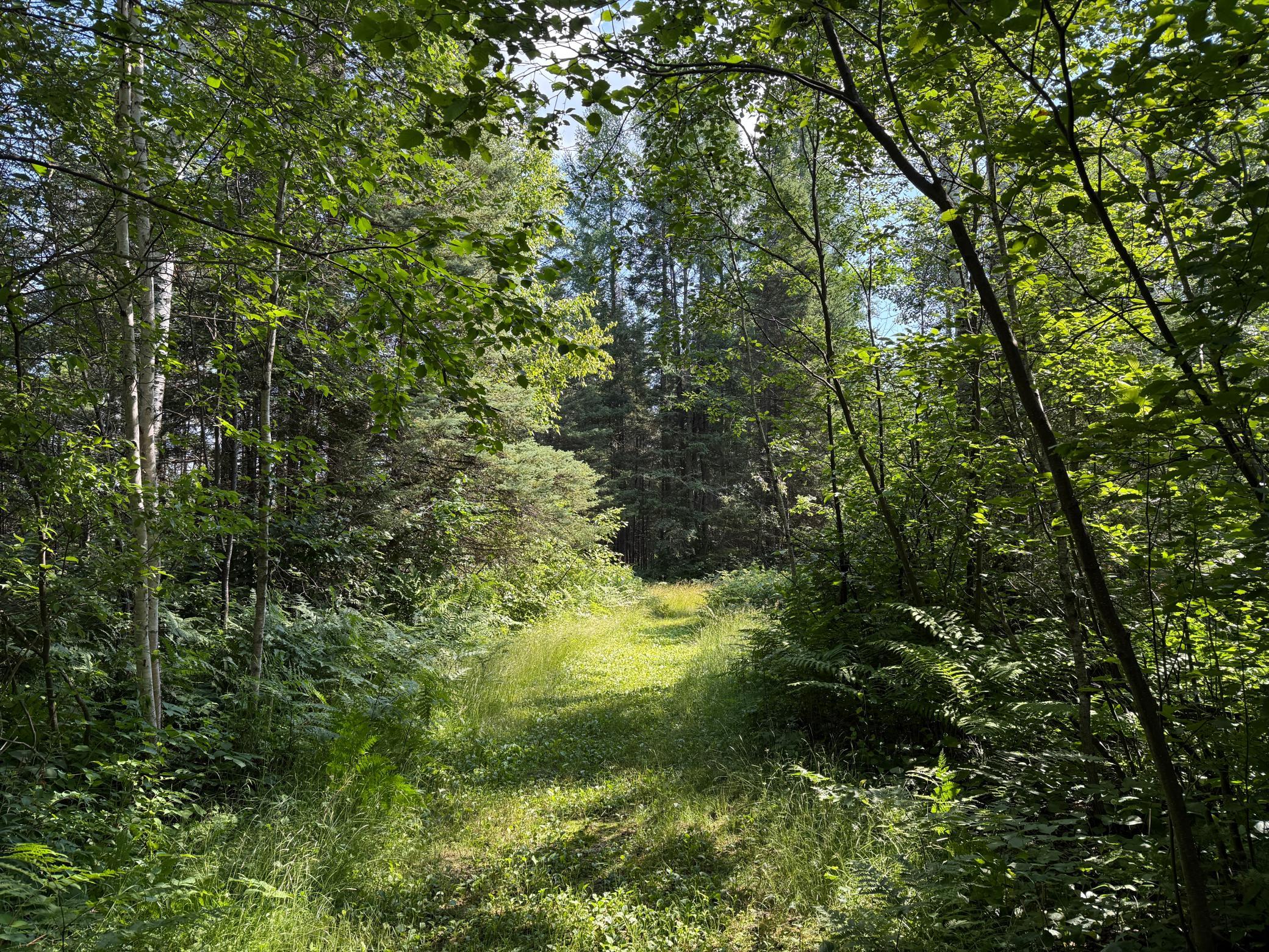 8124 Virginia Ely Road Babbitt, MN 55706 - Photo 82 of 104