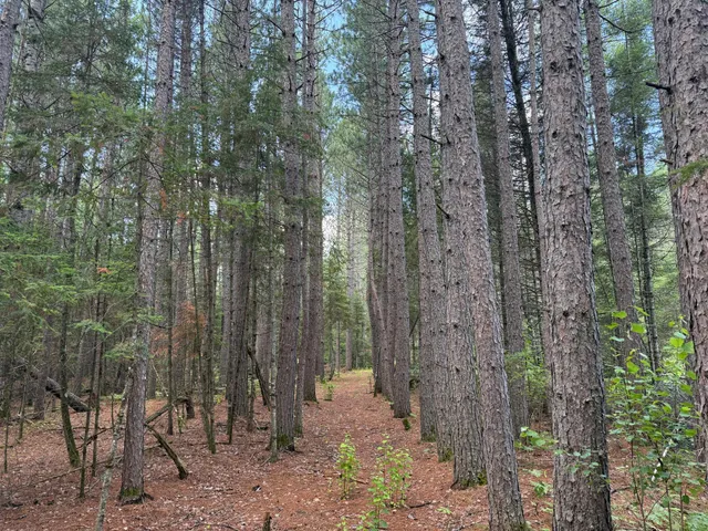 $750,000 | 8124 Virginia Ely Road, Babbitt, MN 55706