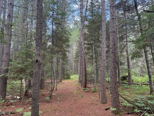 $750,000 | 8124 Virginia Ely Road, Babbitt, MN 55706