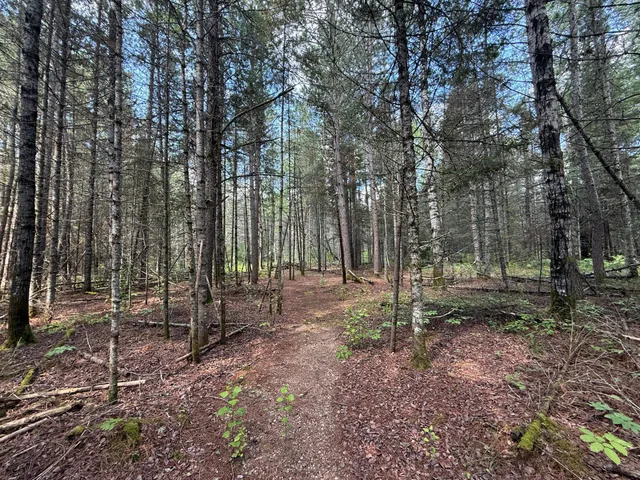 $750,000 | 8124 Virginia Ely Road, Babbitt, MN 55706