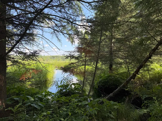 $750,000 | 8124 Virginia Ely Road, Babbitt, MN 55706