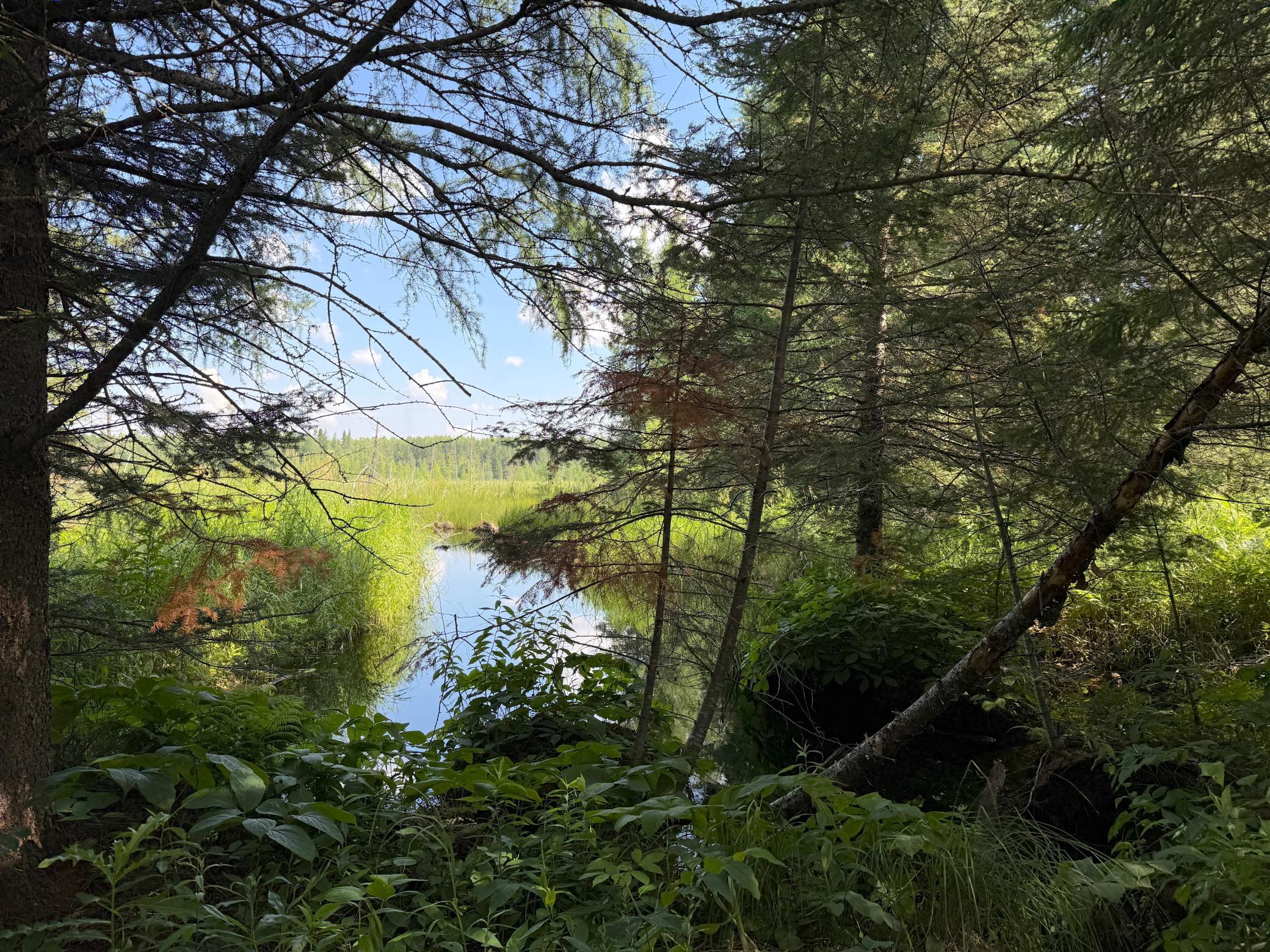 8124 Virginia Ely Road Babbitt, MN 55706 - Photo 87 of 104