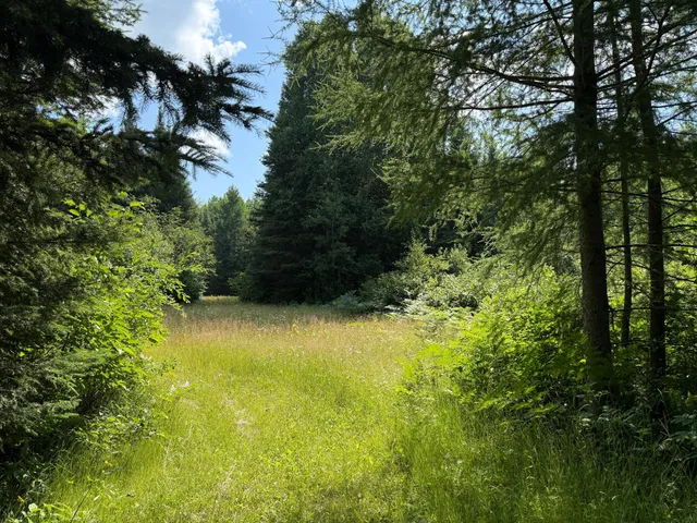 $750,000 | 8124 Virginia Ely Road, Babbitt, MN 55706