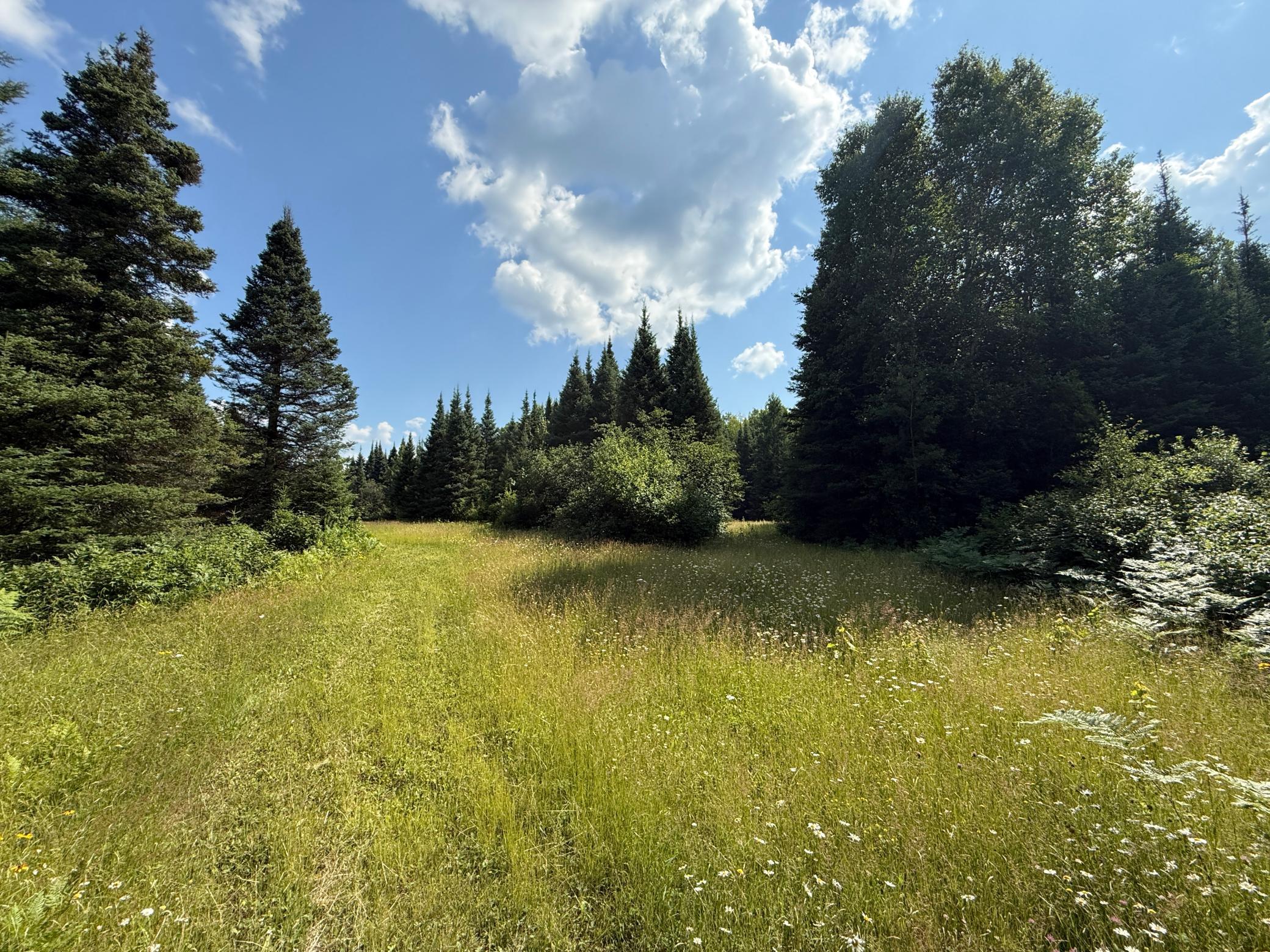 8124 Virginia Ely Road Babbitt, MN 55706 - Photo 89 of 104