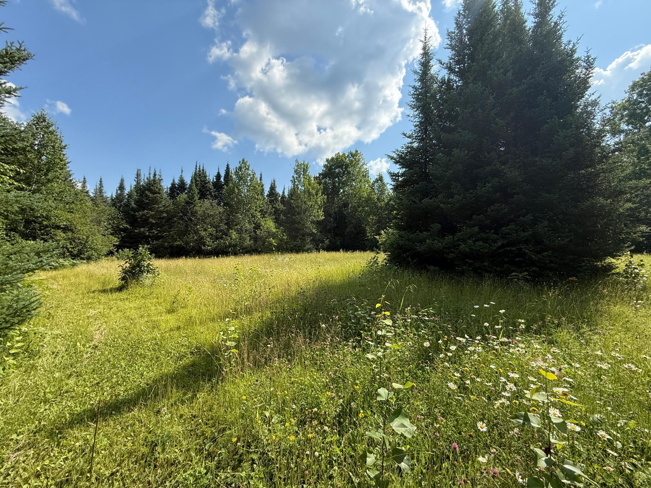 8124 Virginia Ely Road Babbitt, MN 55706 - Photo 90 of 104