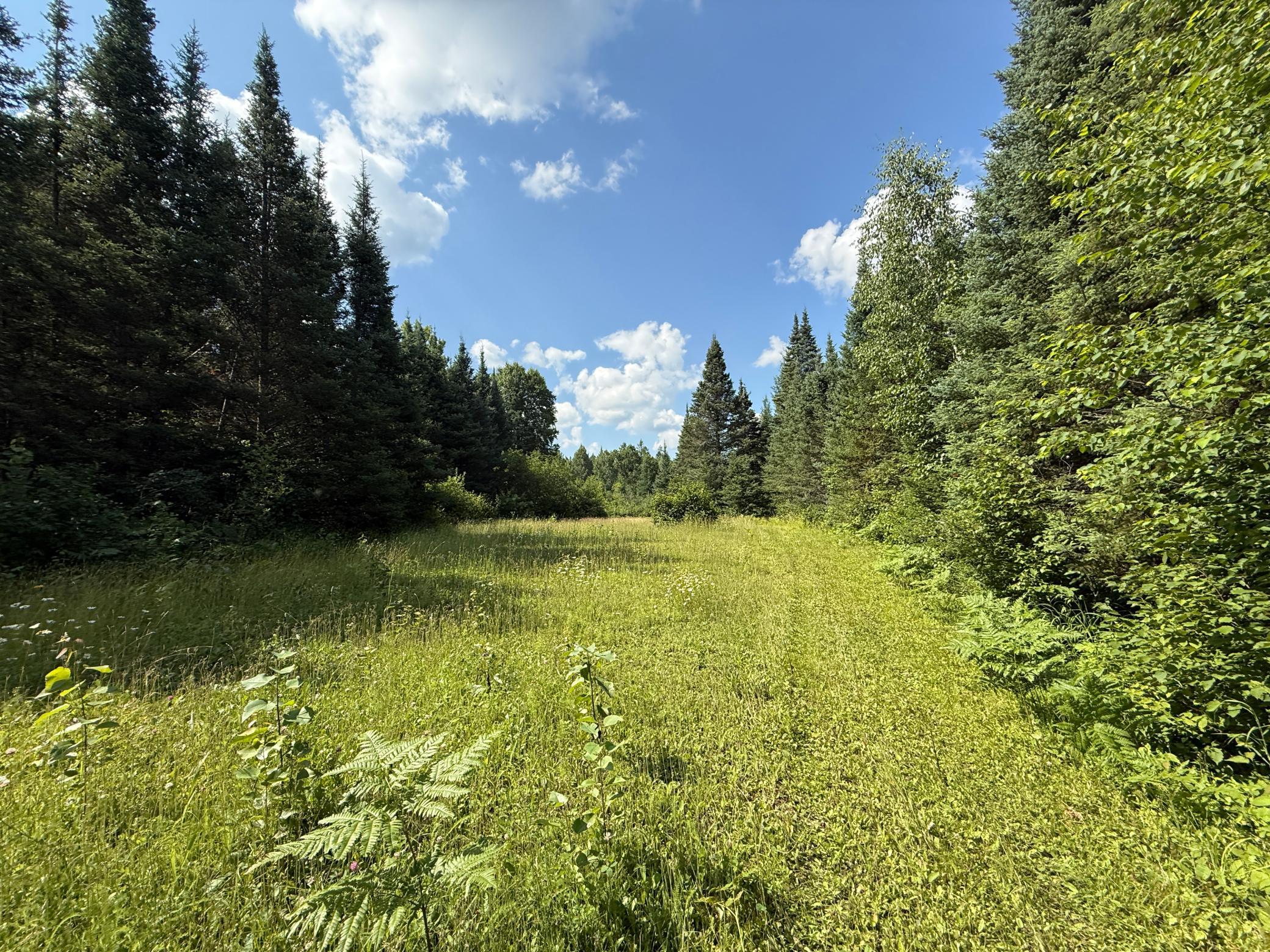 8124 Virginia Ely Road Babbitt, MN 55706 - Photo 91 of 104