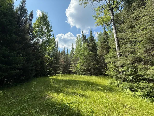 $750,000 | 8124 Virginia Ely Road, Babbitt, MN 55706