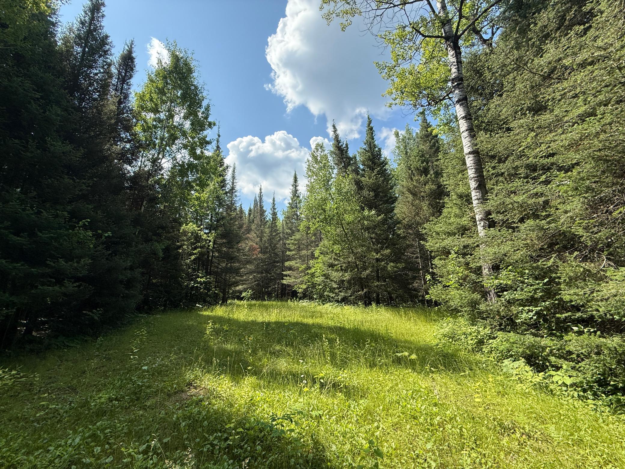 8124 Virginia Ely Road Babbitt, MN 55706 - Photo 93 of 104