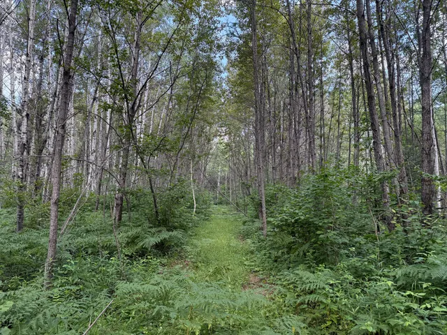 $750,000 | 8124 Virginia Ely Road, Babbitt, MN 55706