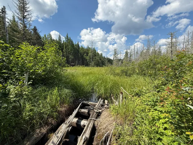 $750,000 | 8124 Virginia Ely Road, Babbitt, MN 55706