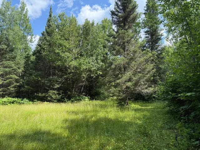 $750,000 | 8124 Virginia Ely Road, Babbitt, MN 55706