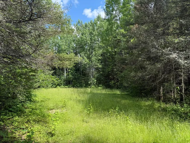 $750,000 | 8124 Virginia Ely Road, Babbitt, MN 55706