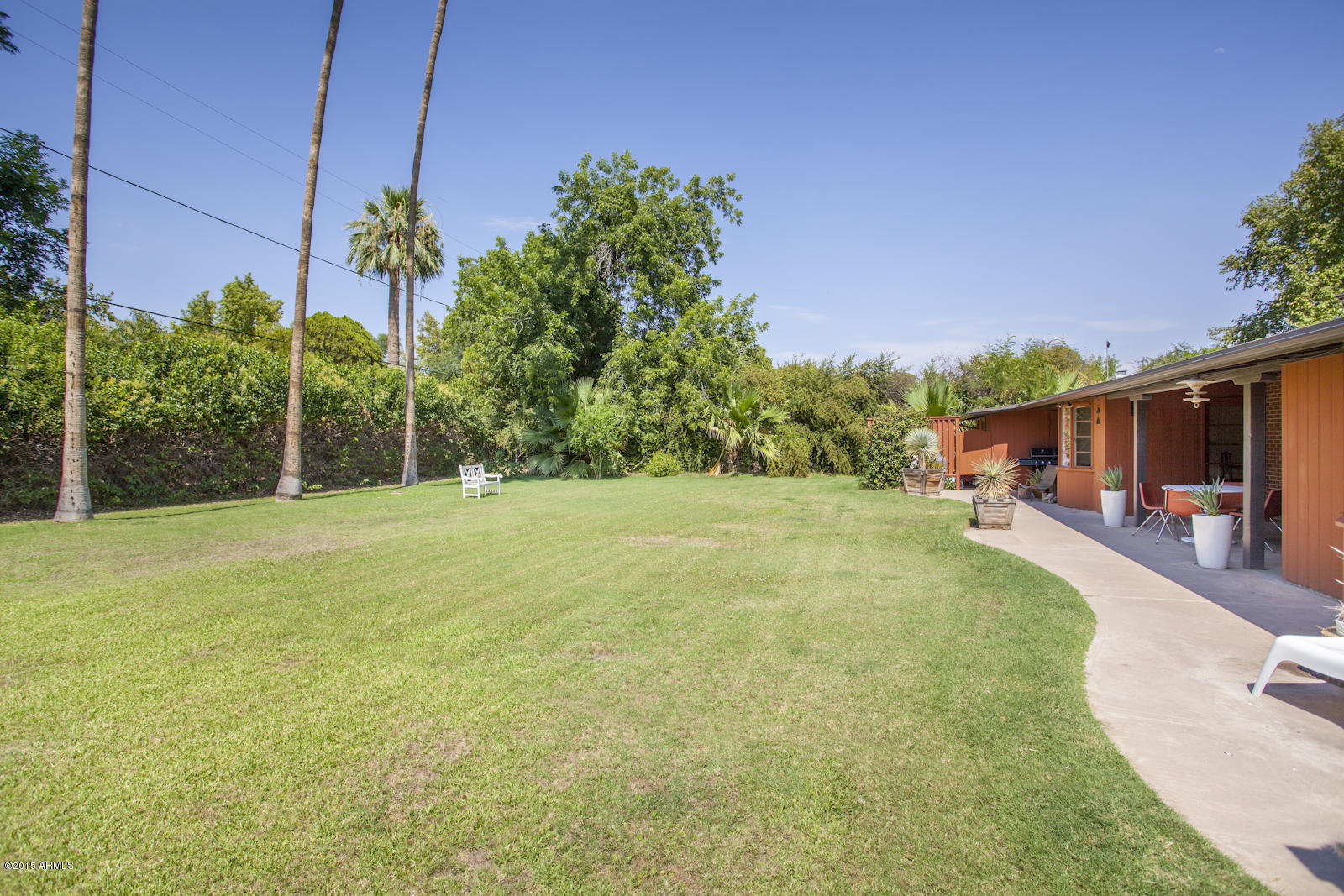 136 East Ocotillo Road Phoenix, AZ 85012 - Photo 15 of 16 Backyard1