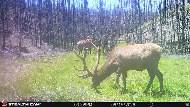 123 Tbd Monroe Canyon Road Monroe, UT 84754 - Photo 25 of 92 Image quality insufficient for description