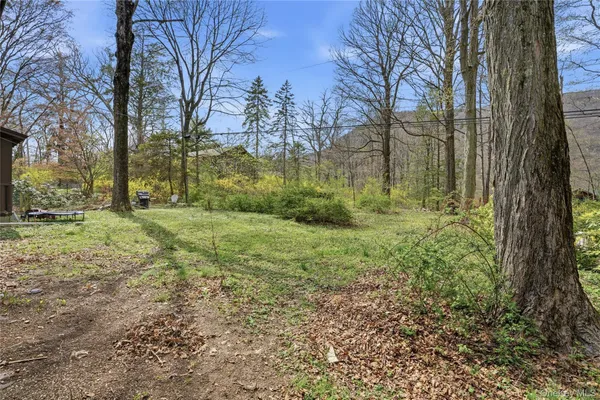 a view of outdoor space with trees all around