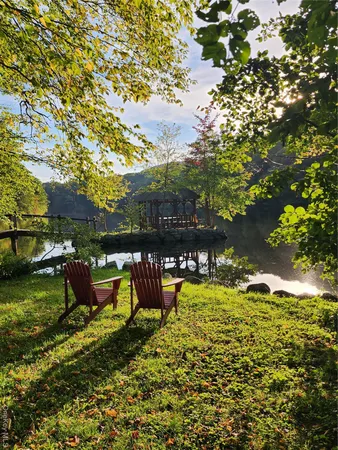 a view of a swimming pool with a bench and some trees