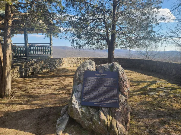 a view of a yard with wooden fence