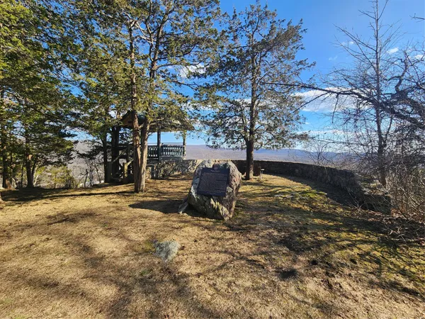a view of backyard with wooden fence and a large tree