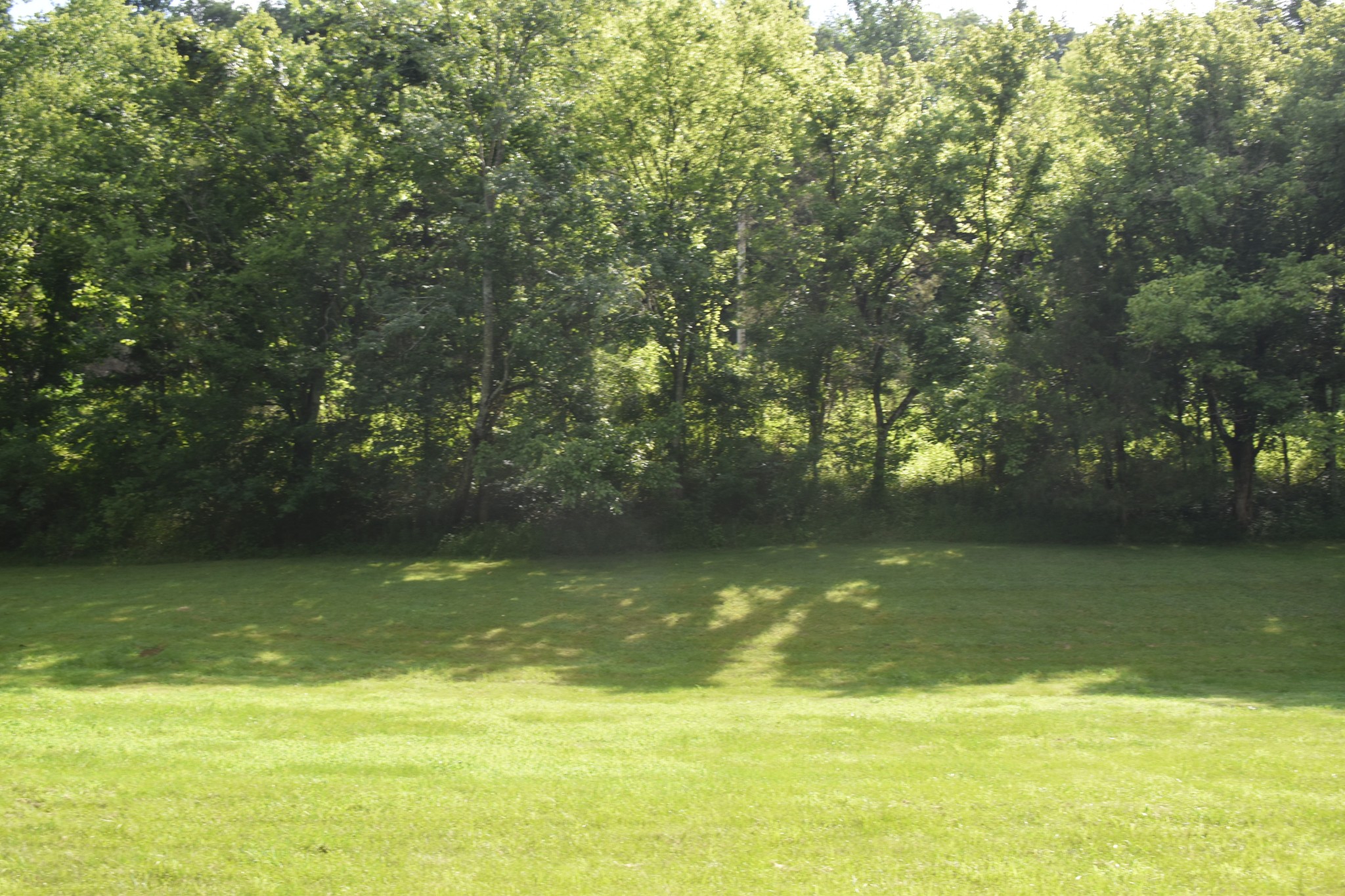 0 Dog Branch Road South Pleasant Shade, TN 37145 - Photo 8 of 14