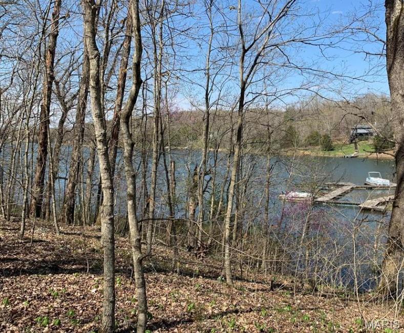 226 Anthonies Mill Road De Soto, MO 63020 - Photo 1 of 11