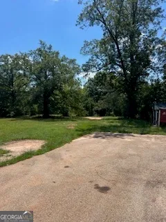 a view of a park with large trees