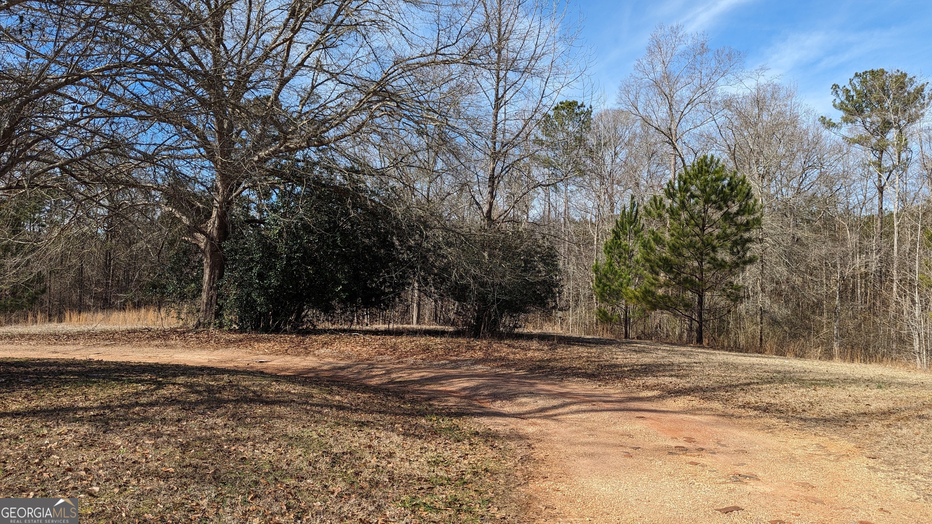 789 Hammett Road LaGrange, GA 30241 - Photo 22 of 26 a view of dirt yard with large trees