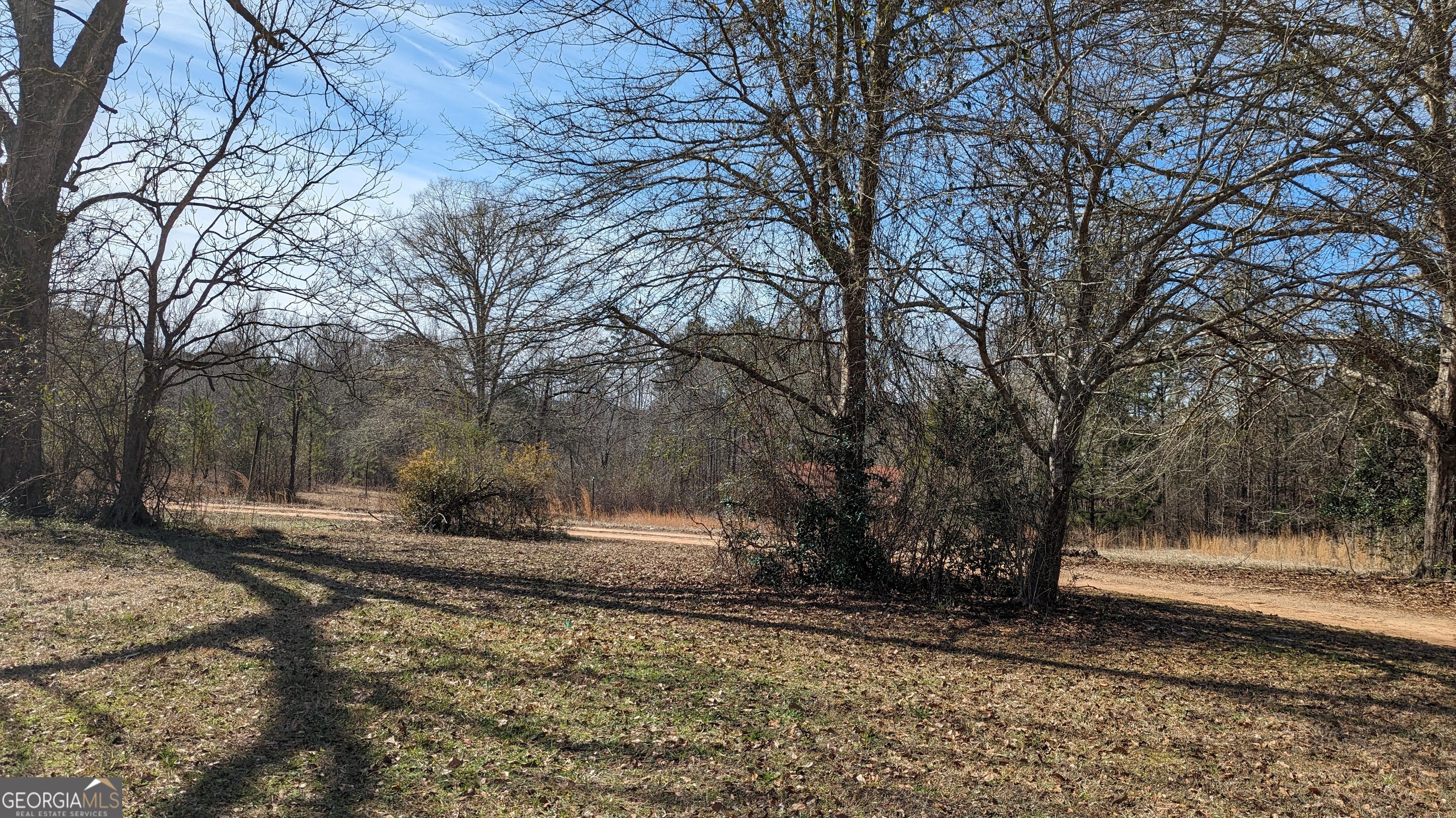 789 Hammett Road LaGrange, GA 30241 - Photo 26 of 26 a view of a yard with a tree
