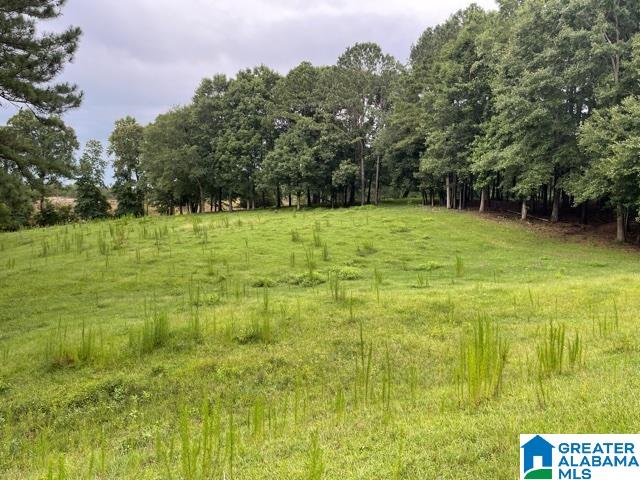 2829 Leander Road Daviston, AL 36256 - Photo 11 of 20