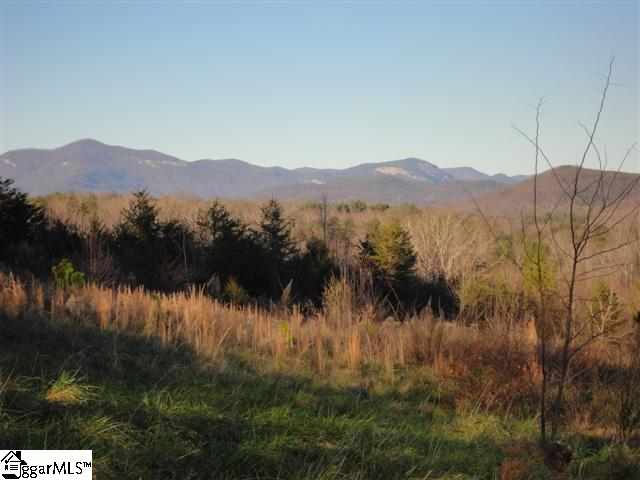 1402 Shady Grove Road Pickens, SC 29671 - Photo 1 of 1