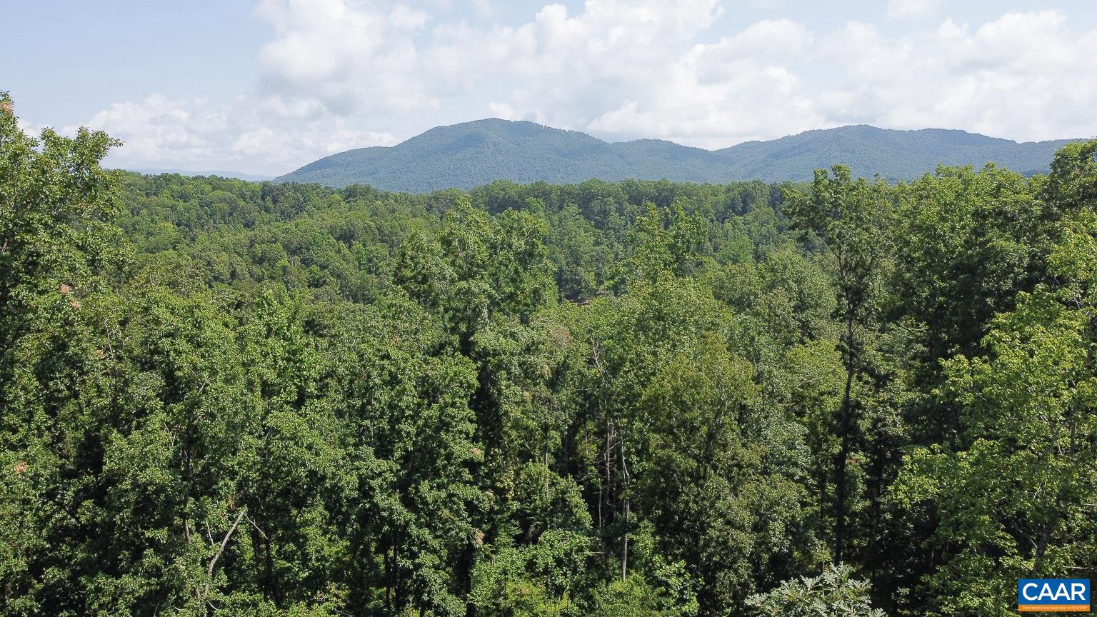 0 Adial Road, Unit 13 Faber, VA 22938 - Photo 1 of 7 a view of a mountain range with lush green forest