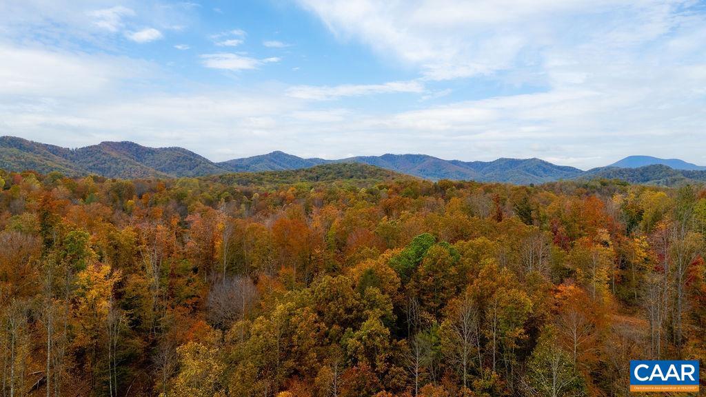 0 Adial Road, Unit 13 Faber, VA 22938 - Photo 4 of 7 a view of lake with mountain