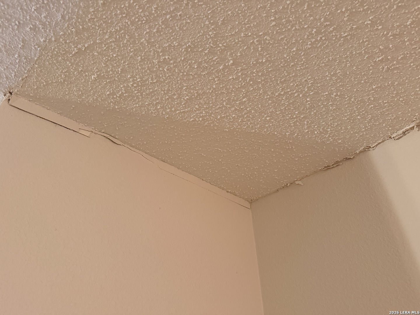 8349 Morning Grove Converse, TX 78109 - Photo 22 of 27