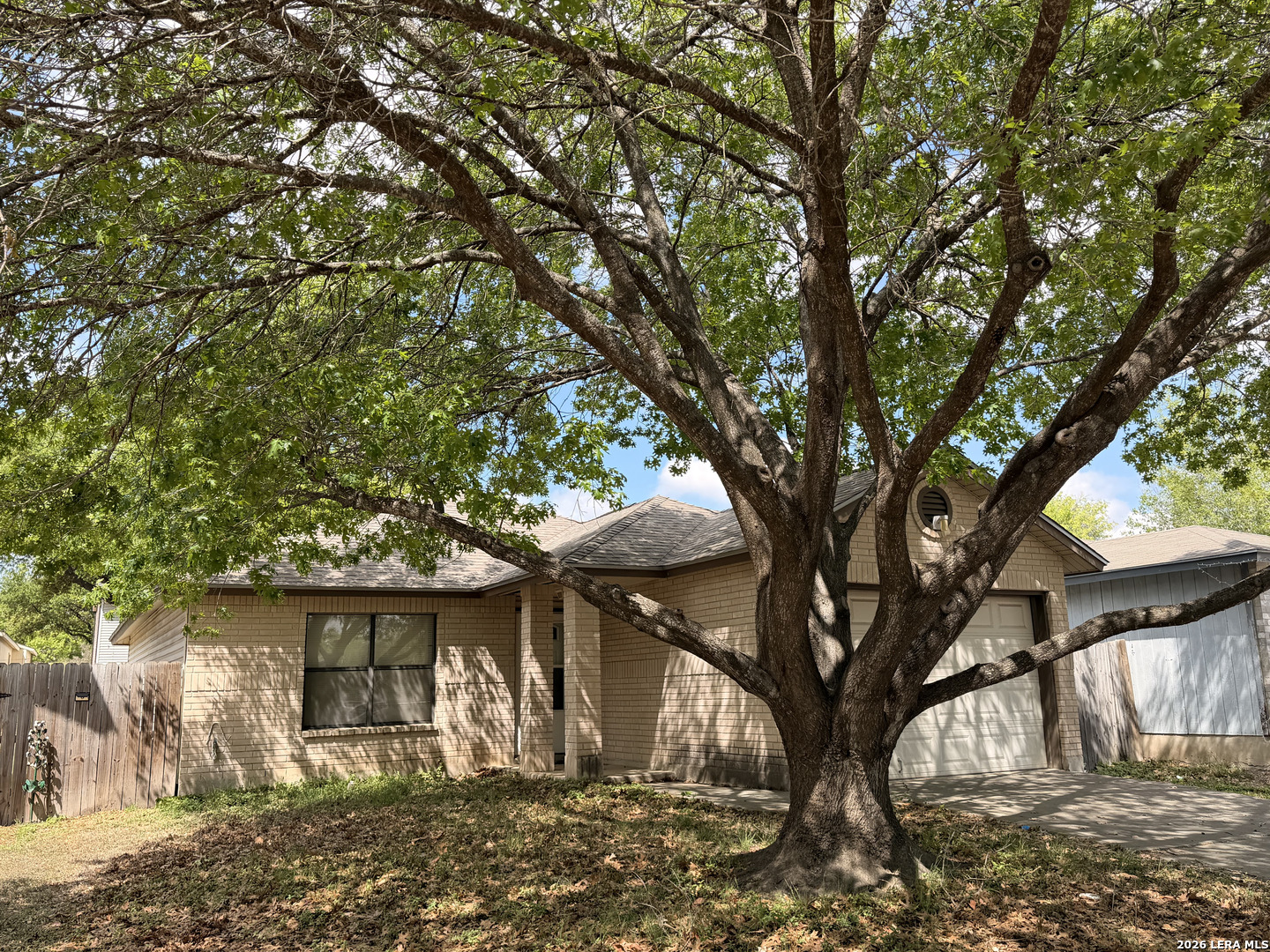 8349 Morning Grove Converse, TX 78109 - Photo 26 of 27 a view of a house with a tree