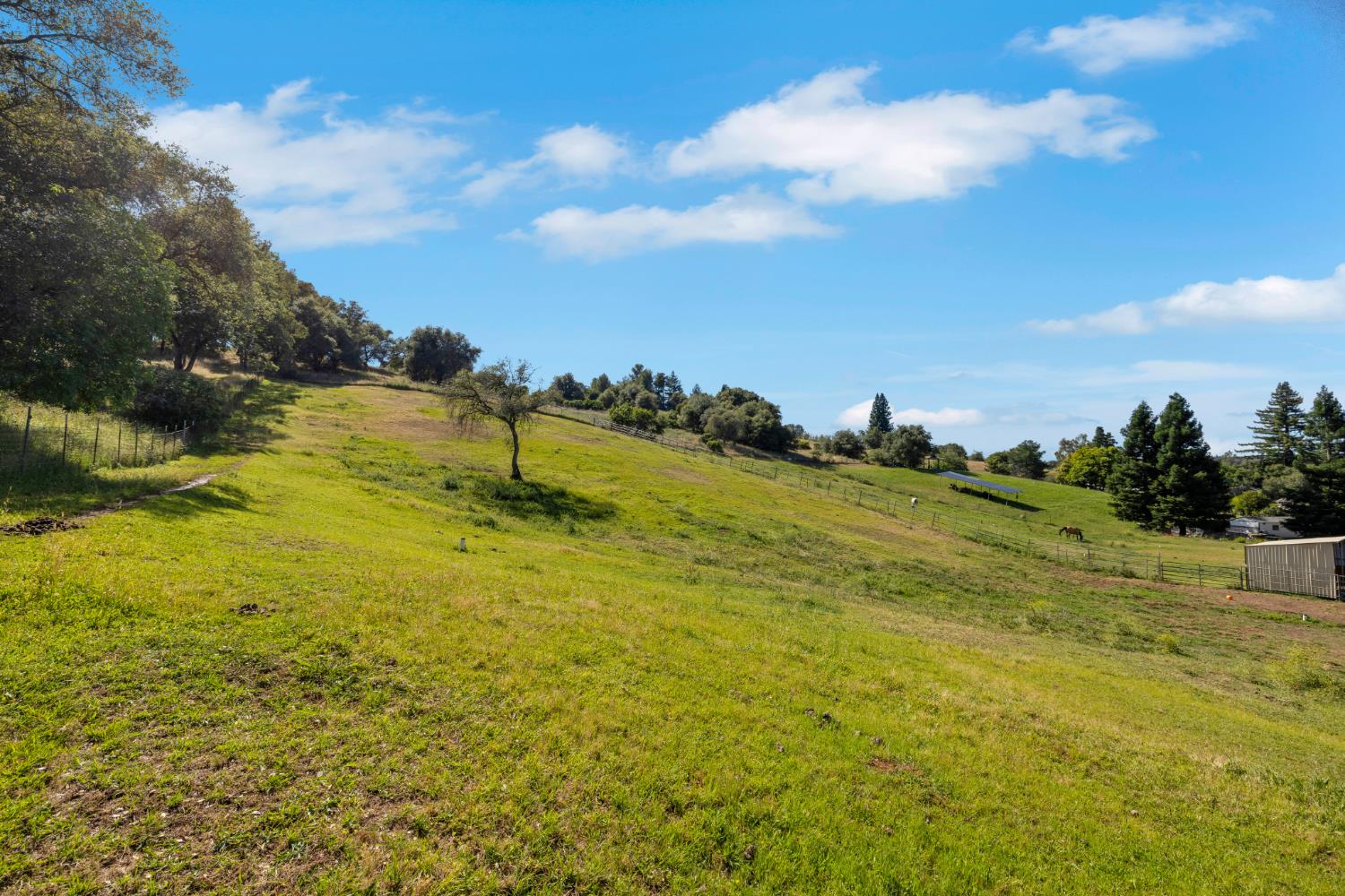 3350 Rattlesnake Road Newcastle, CA 95658 - Photo 61 of 63