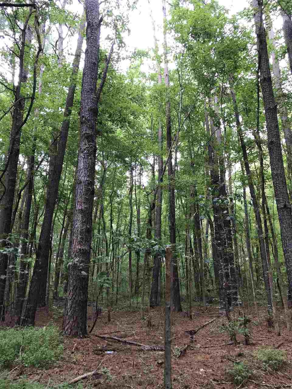 Stallings Mill Road Louisburg, NC 27549 - Photo 1 of 6 Photo 1