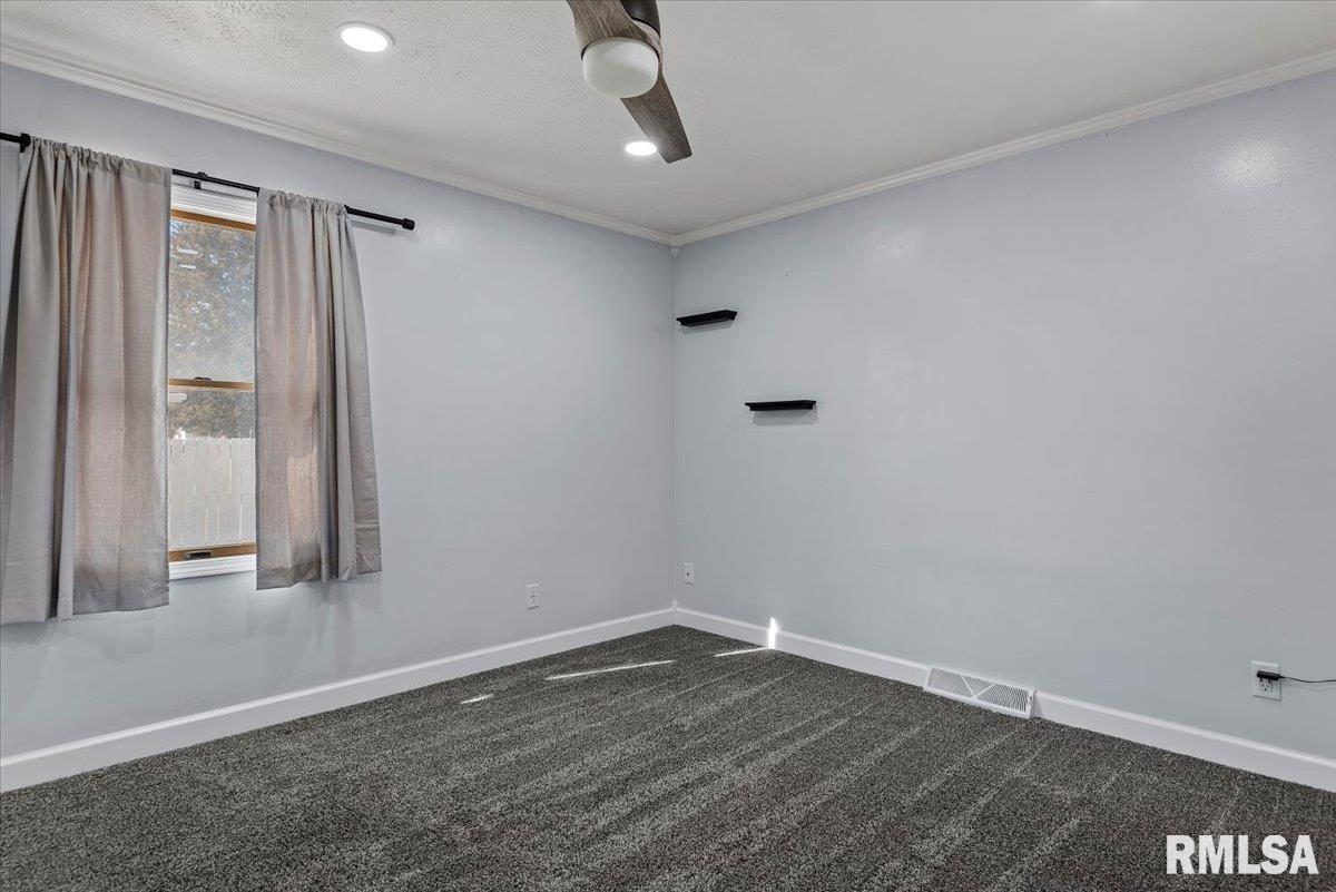 617 East Chestnut Street Chatham, IL 62629 - Photo 23 of 41