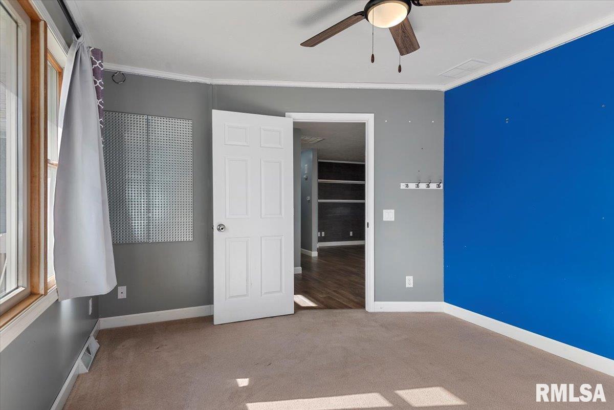 617 East Chestnut Street Chatham, IL 62629 - Photo 31 of 41