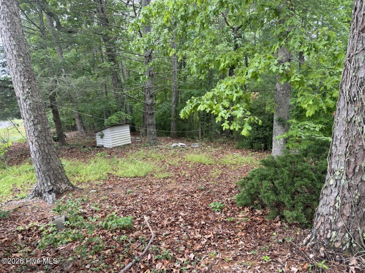 274 Snow Hill Ridge Road Murphy, NC 28906 - Photo 12 of 30