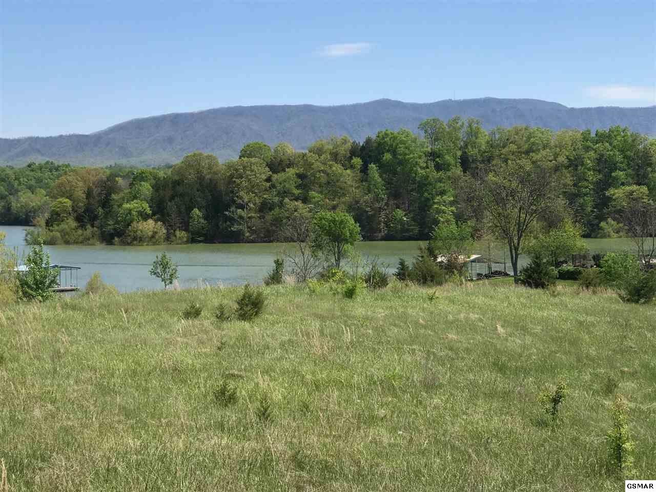 1925 Indian Creek Road Dandridge, TN 37725 - Photo 3 of 6