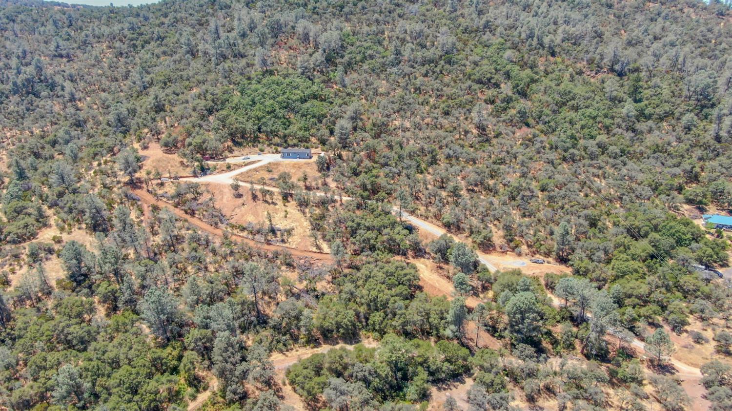 1480 Gelding Road Angels Camp, CA 95222 - Photo 64 of 76