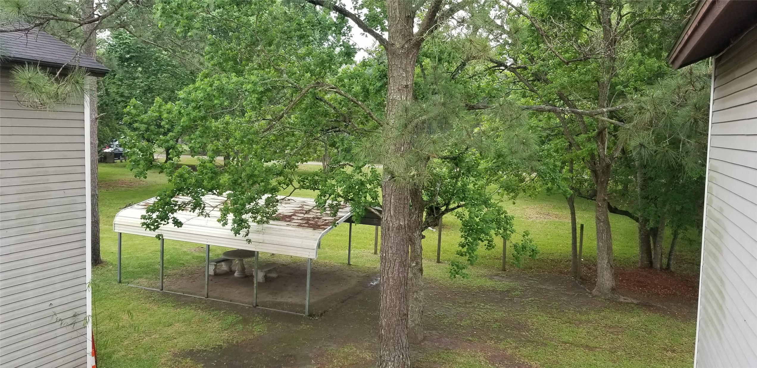 2017 West Sidnor Street, Unit 6 Alvin, TX 77511 - Photo 13 of 13 a view of a yard with a tree