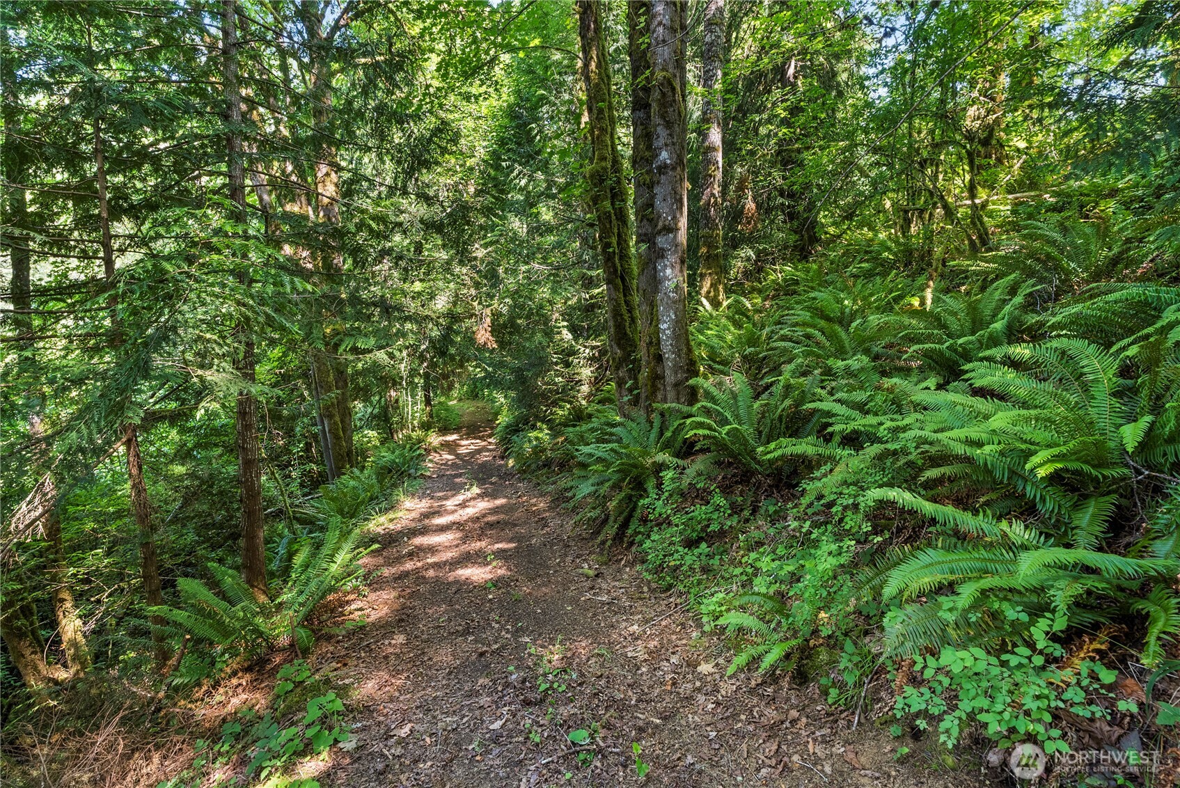 223 Porter Creek Road Elma, WA 98541 - Photo 33 of 40