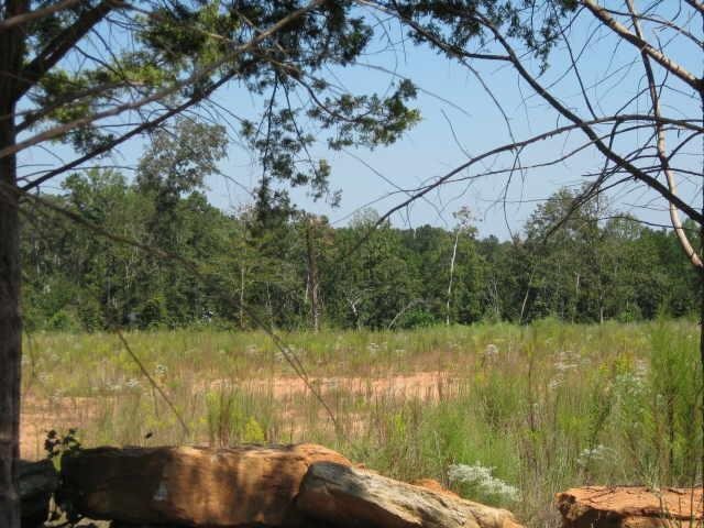 4321 Bruce Road Martin, GA 30557 - Photo 1 of 1 Gallery Image 1